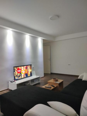 IN apartman u samom centru Obrenovca